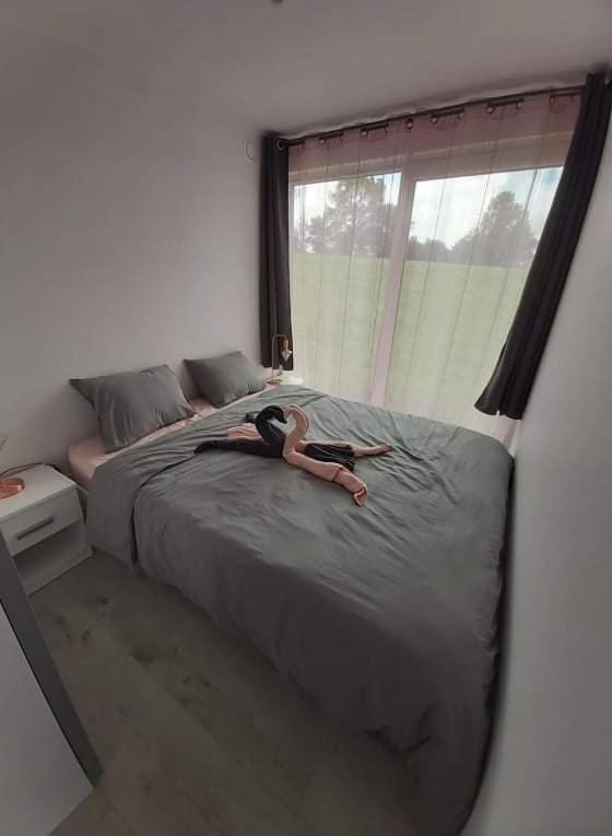 Le Diamanster Francorchamps Villa สเตฟโล ภายนอก รูปภาพ